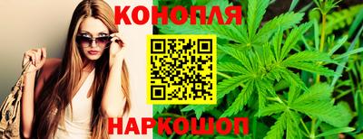 крисы Краснознаменск