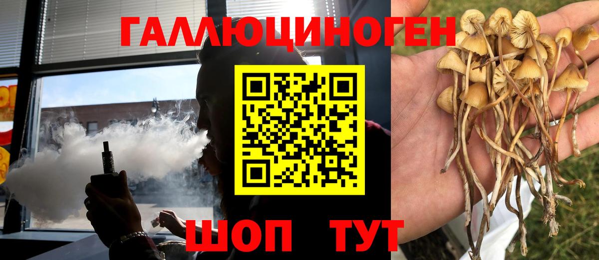 Псилоцибиновые грибы мицелий Екатеринбург